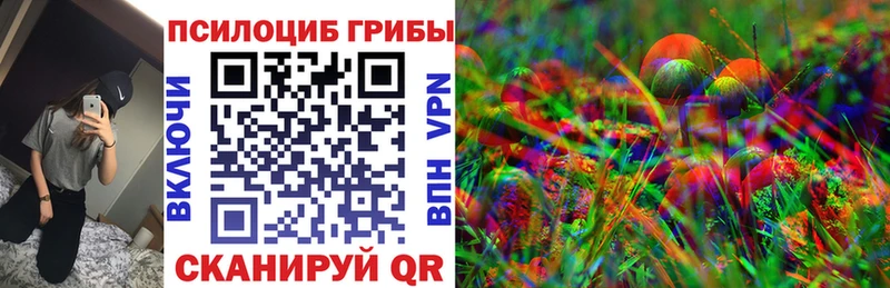Купить  Михайлов  Псилоцибиновые грибы ЛСД 